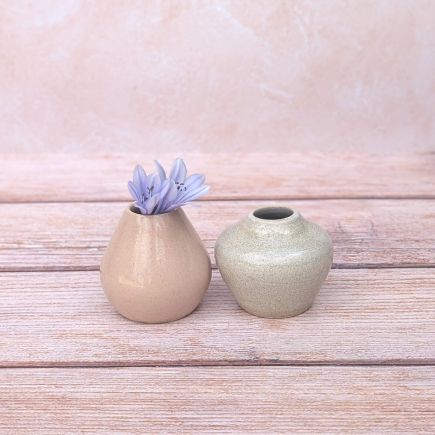 Duo de mini vases